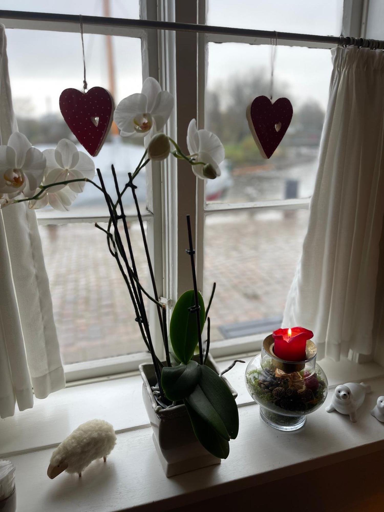 リーベ Restaurant Saelhunden Bed & Breakfast エクステリア 写真